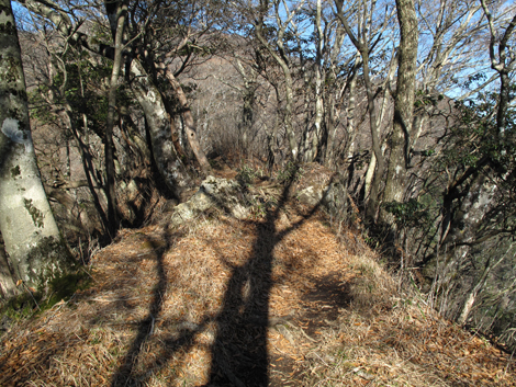 20171207hike (88)